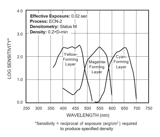 kodak 250D vision 3.png