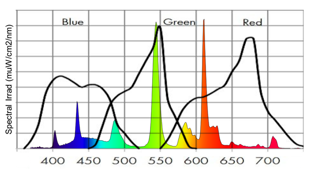 phoenix over fluo 2.png