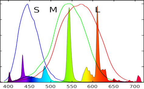 human vision spectra against fluo.png