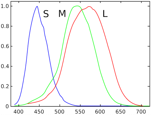 human vision spectra 2.png